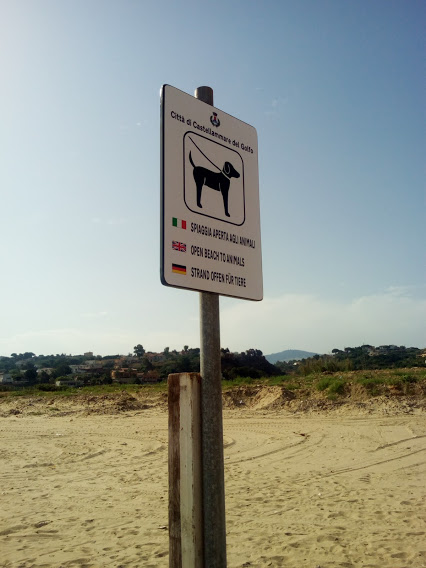 spiaggia aperta animali 2016