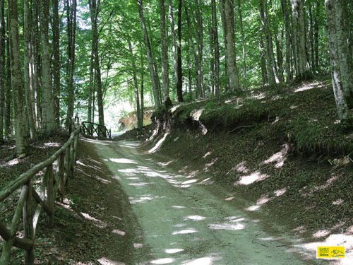 Sentiero Lacina - Lu Bellu