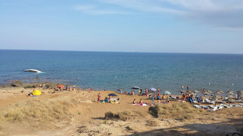 CAVALLUCCI SPIAGGIA ISOLA DI CAPO RIZZUTO