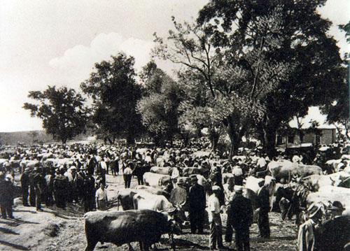 L'antica fiera del bestiame dedicata a San Bartolomeo